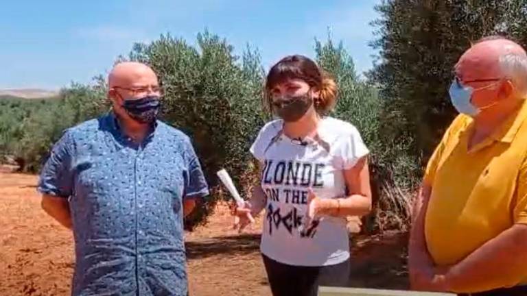 Carboneros entrega a Rozalén el galardón “Olivo Solidario, El Aceite de la Vida” Carboneros entrega a Rozalén el galardón “Olivo Solidario, El Aceite de la Vida”