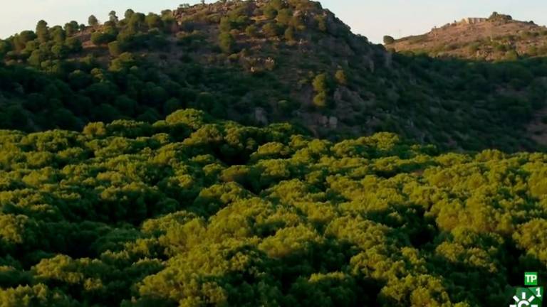 “Destino Andalucía” arranca temporada desde Andújar “Destino Andalucía” arranca temporada desde Andújar