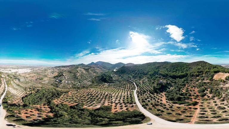 La isla boscosa de La Bañizuela La isla boscosa de La Bañizuela