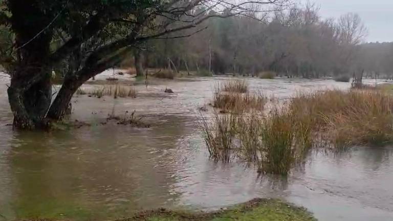El arroyo de la Nava de San Pedro presenta este aspecto, se ha salido de la caja El arroyo de la Nava de San Pedro presenta este aspecto, se ha salido de la caja