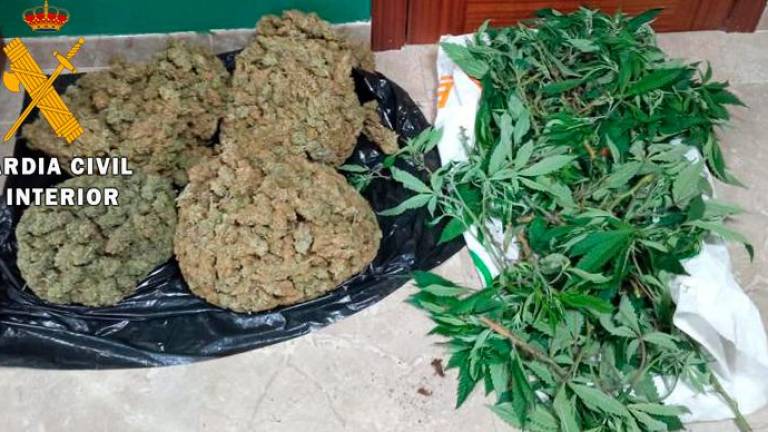 Interceptan más de 4.000 gramos de marihuana en Lopera