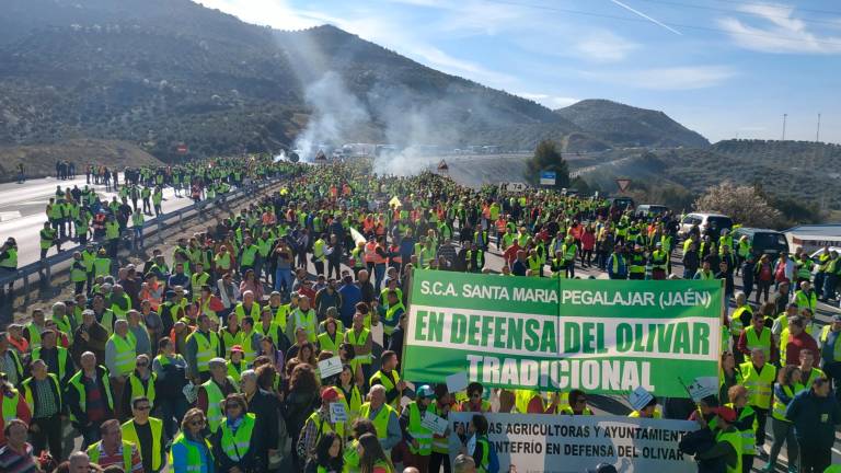 La histórica movilización de los aceituneros de Jaén en 2020 La histórica movilización de los aceituneros de Jaén en 2020