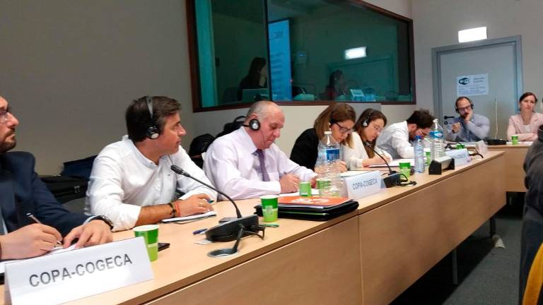 Europa prefiere hablar a imponer Europa prefiere hablar a imponer
