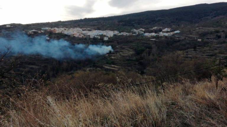 Detenido un varón como presunto autor de un incendio forestal en Paterna del Río Detenido un varón como presunto autor de un incendio forestal en Paterna del Río