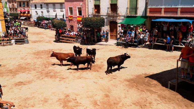 A la carrera frente a las reses A la carrera frente a las reses