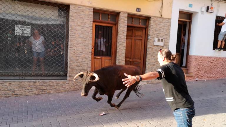 Orcera se despide de la suelta de reses bravas