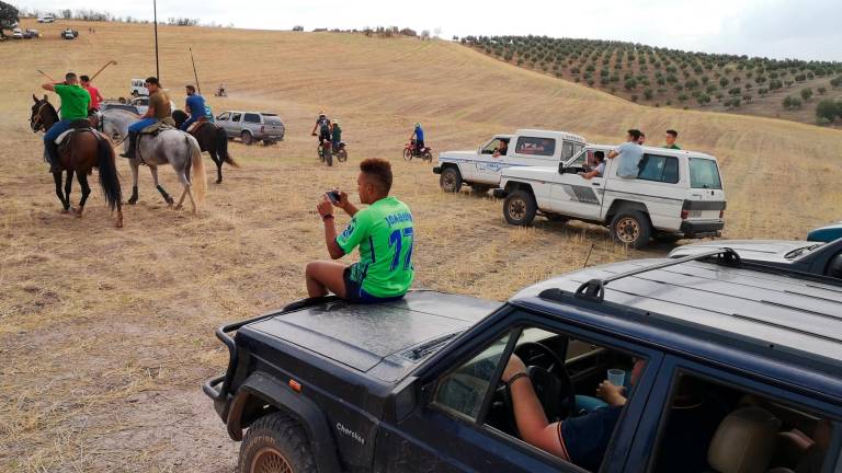La esencia taurina por los campos La esencia taurina por los campos