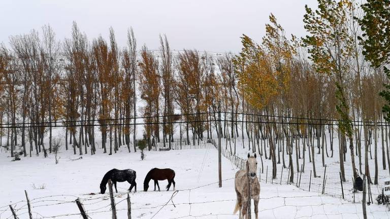 Mucho frío: -16 grados en Cañada Hermosa y -14 en Pozo Romero Mucho frío: -16 grados en Cañada Hermosa y -14 en Pozo Romero