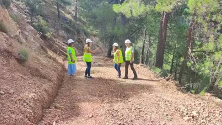 Destinan 1,3 millones de euros en los caminos forestales del Parque Natural de Cazorla, Segura y Las Villas Destinan 1,3 millones de euros en los caminos forestales del Parque Natural de Cazorla, Segura y Las Villas