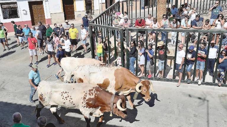 Un encierro rápido y “limpio” Un encierro rápido y “limpio”