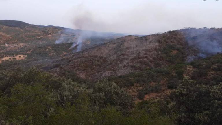 Incendio forestal en Pozoblanco en el paraje de La Canaleja Incendio forestal en Pozoblanco en el paraje de La Canaleja