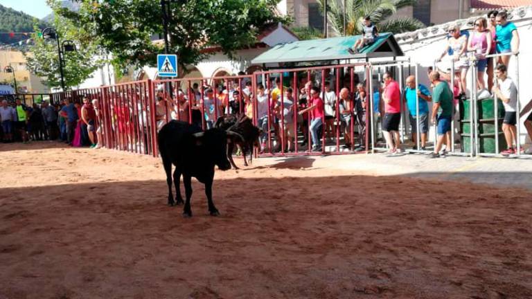 Sobresaltos en día de fiesta Sobresaltos en día de fiesta