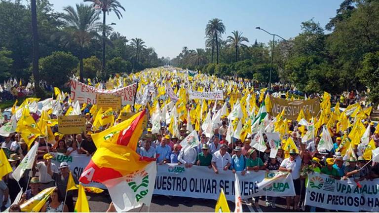 El sector olivarero llama el día 30 de enero a paralizar la provincia El sector olivarero llama el día 30 de enero a paralizar la provincia