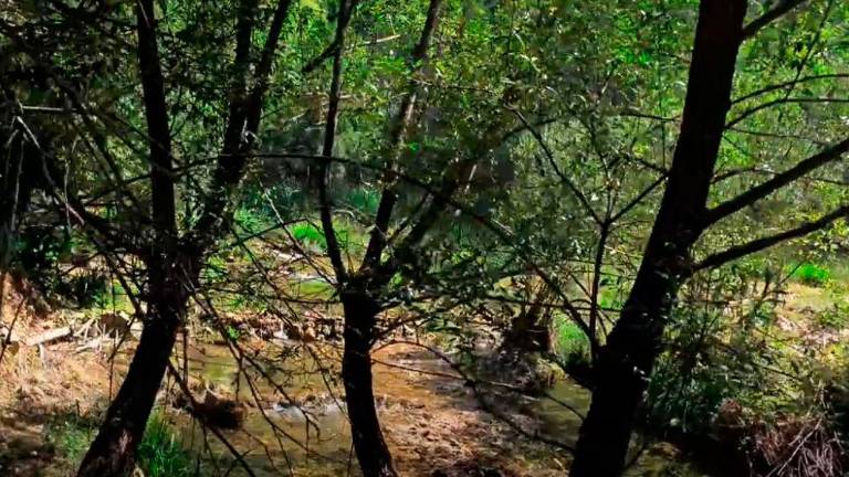 ¿Tiene unos minutos para relajarse? Le ofrecemos un paseo por el río Madera ¿Tiene unos minutos para relajarse? Le ofrecemos un paseo por el río Madera