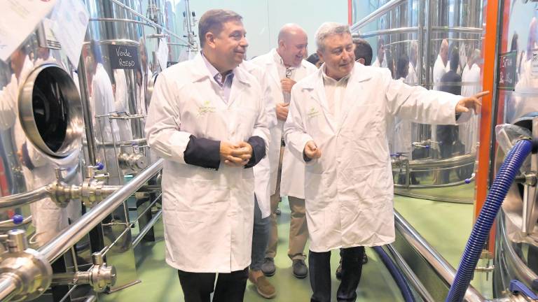 Entre las incertidumbres de los mercados y los desafíos del olivar Entre las incertidumbres de los mercados y los desafíos del olivar