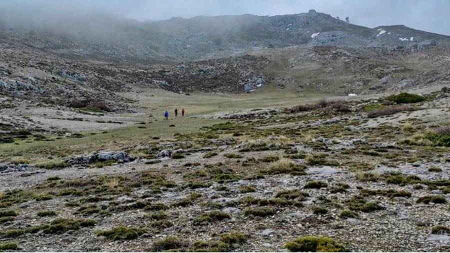 <i>Megadolina Nava de los Troncos, en marzo de 2021 / Proyecto FrostSE.</i> <i>Megadolina Nava de los Troncos, en marzo de 2021 / Proyecto FrostSE.</i>