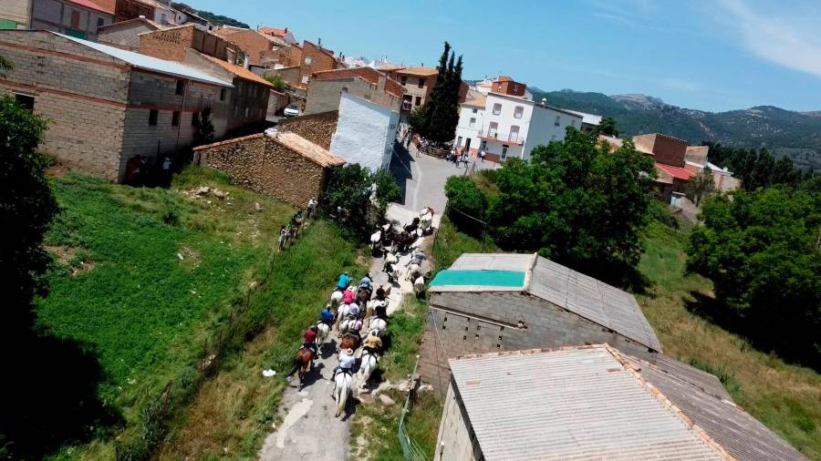 <i>Entrada del ganado en La Matea. / Diario JAÉN.</i> <i>Entrada del ganado en La Matea. / Diario JAÉN.</i>