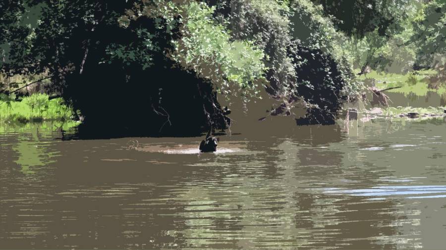 <i>Río Jándula, en Lugar Nuevo, Andújar, zona de altas temperaturas. | Diario JAÉN.</i> <i>Río Jándula, en Lugar Nuevo, Andújar, zona de altas temperaturas. | Diario JAÉN.</i>