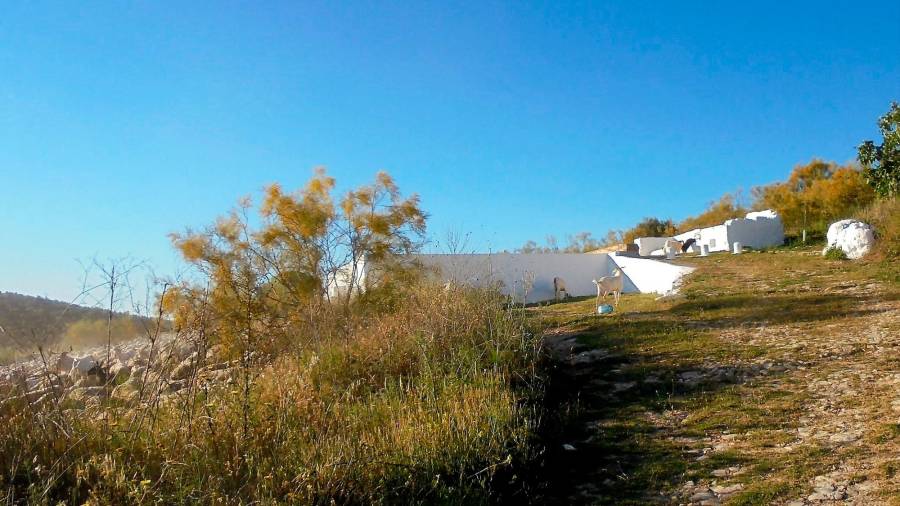 <i>Abrevadero cerca del santuario de la Virgen de la Estrella en Navas de San Juan. </i>