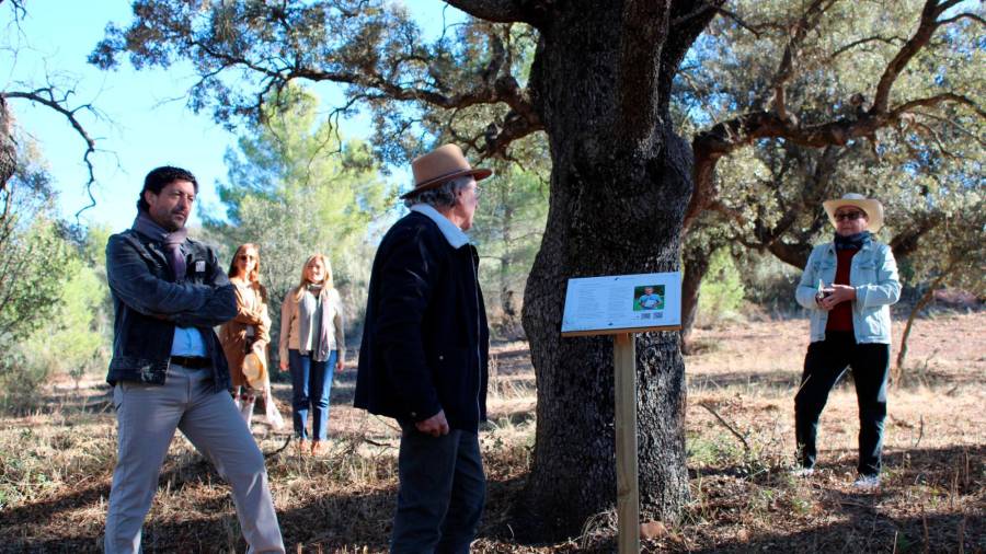 <i>El periodista y divulgador medioambiental Ezequiel Martínez lee uno de los poemas bajo una encina. Fundación Savia.</i> <i>El periodista y divulgador medioambiental Ezequiel Martínez lee uno de los poemas bajo una encina. Fundación Savia.</i>