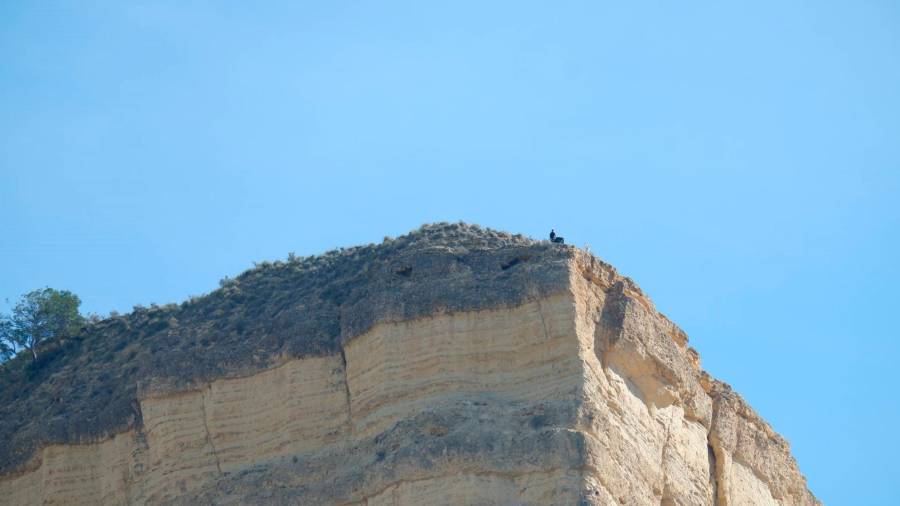 <i>Mirador del Lirio, en Pozo Alcón. </i>