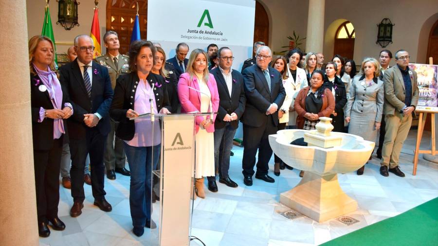 <i>Catalina García lee la declaración institucional. / Junta de Andalucía.</i> <i>Catalina García lee la declaración institucional. / Junta de Andalucía.</i>