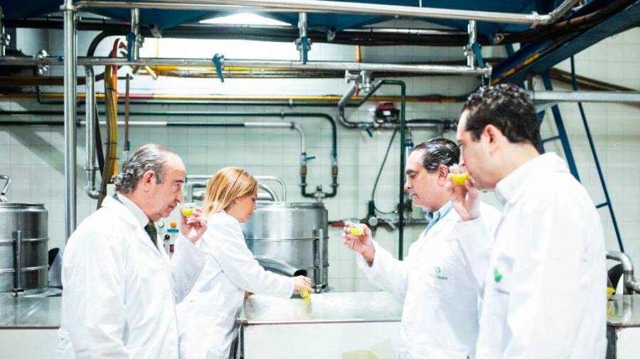 Banderas de Andalucía 2023: Compromiso y talento por Jaén Banderas de Andalucía 2023: Compromiso y talento por Jaén