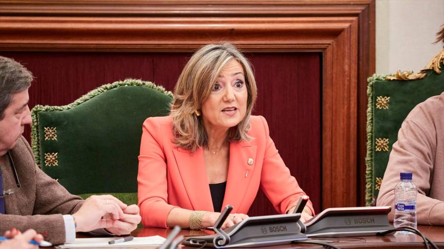 <i>Cristina Ibarrola, durante el pleno de censura. / Eduardo Sanz / Europa Press.</i> <i>Cristina Ibarrola, durante el pleno de censura. / Eduardo Sanz / Europa Press.</i>