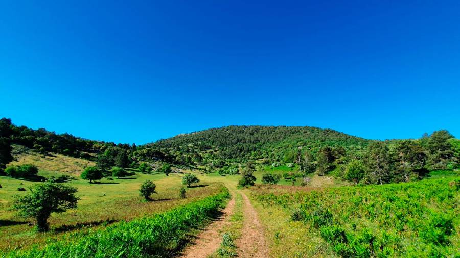 <i>Campos verdes el verano pasado en Pozo Romero / FrootSE.</i> <i>Campos verdes el verano pasado en Pozo Romero / FrootSE.</i>
