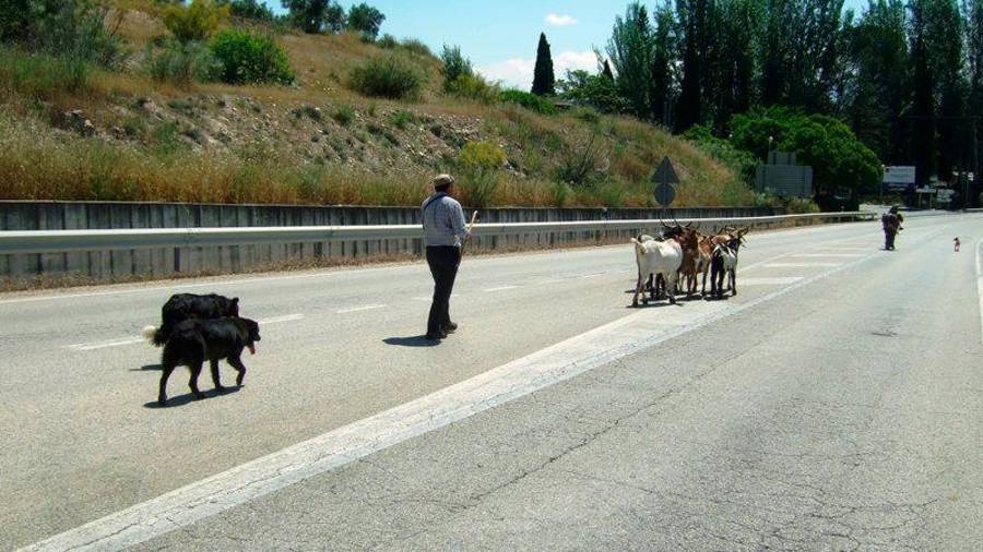 <i>Abre el cortejo a la entrada del puente José Carlos.</i>