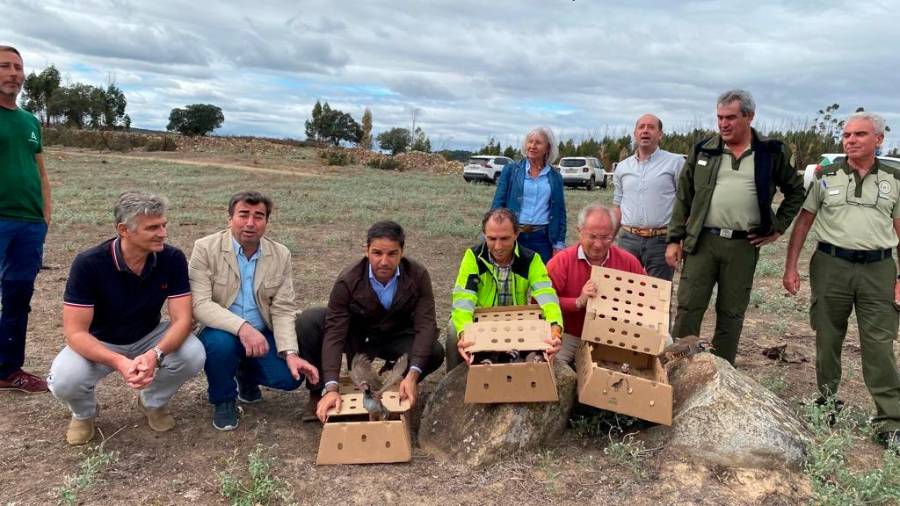 <i>Una de las perdices liberadas levanta el vuelo en la finca onubense. / Junta de Andalucía.</i> <i>Una de las perdices liberadas levanta el vuelo en la finca onubense. / Junta de Andalucía.</i>
