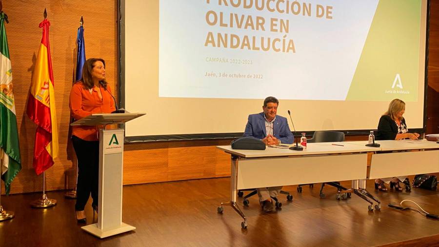 <i>La consejera Carmen Crespo presenta el aforo oficial. / I. Fuentes / Diario JAÉN.</i> <i>La consejera Carmen Crespo presenta el aforo oficial. / I. Fuentes / Diario JAÉN.</i>