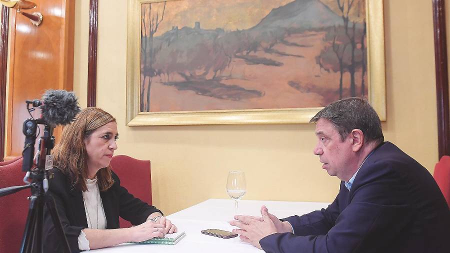 “La próxima década será clave para el sector del aceite de oliva” “La próxima década será clave para el sector del aceite de oliva”