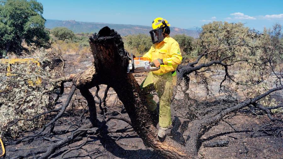 <i>Un efectivo del Infoca, en el incendio del embalse del Encinarejo. / Infoca.</i> <i>Un efectivo del Infoca, en el incendio del embalse del Encinarejo. / Infoca.</i>