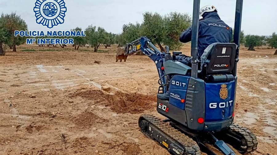 <i>Búsqueda de pruebas en un olivar. / Policía Nacional.</i> <i>Búsqueda de pruebas en un olivar. / Policía Nacional.</i>