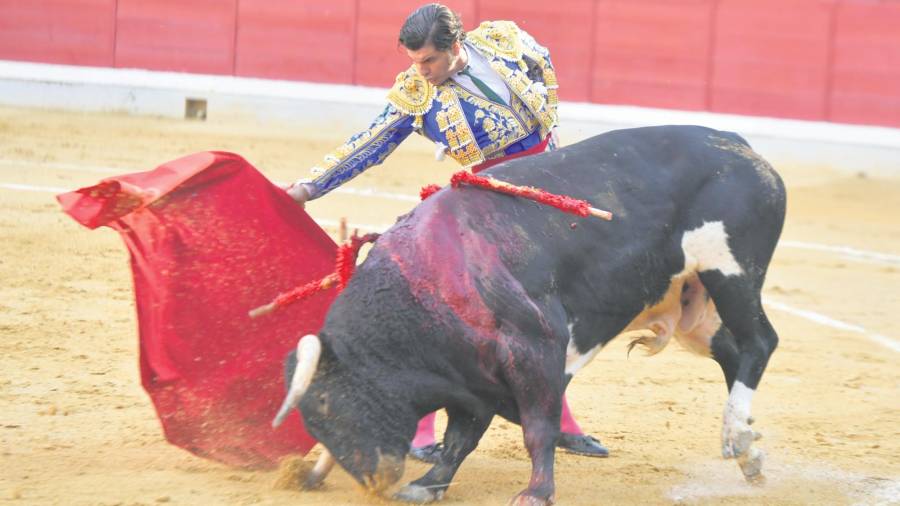 <i>Morante intenta ceñir la toro con la derecha.</i> <i>Morante intenta ceñir la toro con la derecha.</i>