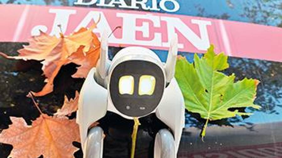 <i>Ña, sobre el parabrisas del ‘todoterreno’ de Diario JAÉN, este otoño de 2023. / Diario JAÉN.</i> <i>Ña, sobre el parabrisas del ‘todoterreno’ de Diario JAÉN, este otoño de 2023. / Diario JAÉN.</i>