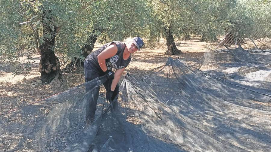 El futuro de la mujer rural El futuro de la mujer rural