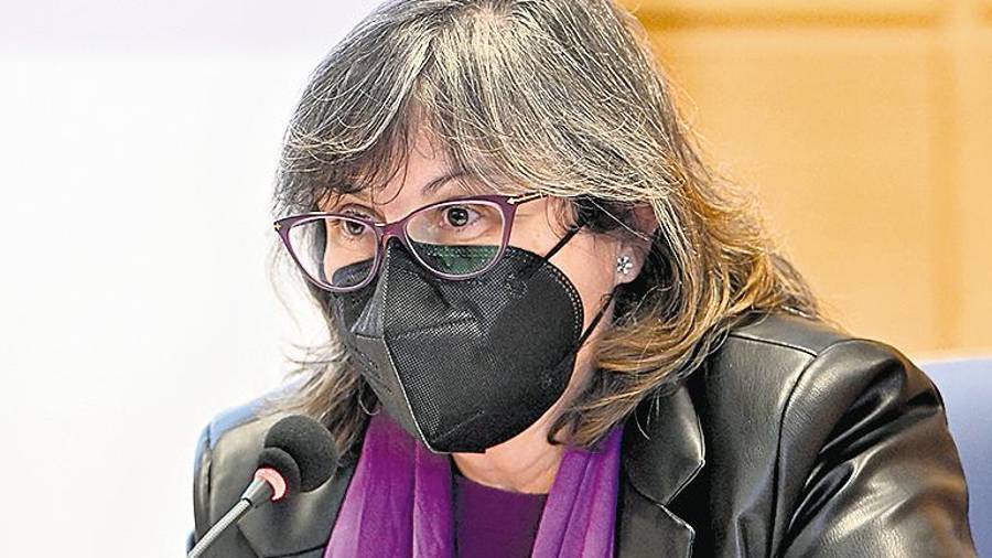 <i>MARÍA CELESTINA MARTÍNEZ - Directora adjunta del área de Igualdad y Bienestar Social de la Diputación</i> <i>MARÍA CELESTINA MARTÍNEZ - Directora adjunta del área de Igualdad y Bienestar Social de la Diputación</i>