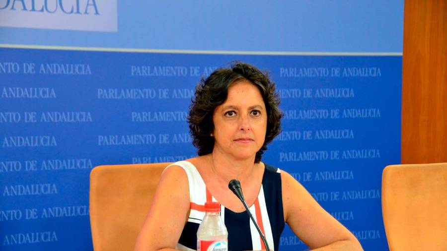 La enfermera que trabajó con contratos esporádicos, que fue alcaldesa de Jimena y ahora dirige la sanidad andaluza La enfermera que trabajó con contratos esporádicos, que fue alcaldesa de Jimena y ahora dirige la sanidad andaluza