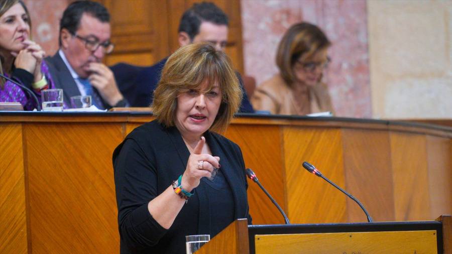 <i>Cristina Jiménez, de Vox. / Francisco J. Olmo / Europa Press.</i> <i>Cristina Jiménez, de Vox. / Francisco J. Olmo / Europa Press.</i>