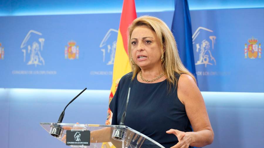 <i>Cristina valido, en rueda de prensa. / Jesús Hellín / Europa Press.</i> <i>Cristina valido, en rueda de prensa. / Jesús Hellín / Europa Press.</i>