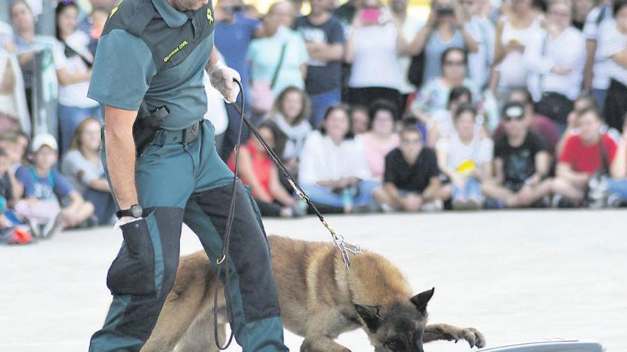 <i>Un perro adiestrado localiza la dorga en la maleta. / Agustín Muñoz / Diario JAÉN.</i> <i>Un perro adiestrado localiza la dorga en la maleta. / Agustín Muñoz / Diario JAÉN.</i>