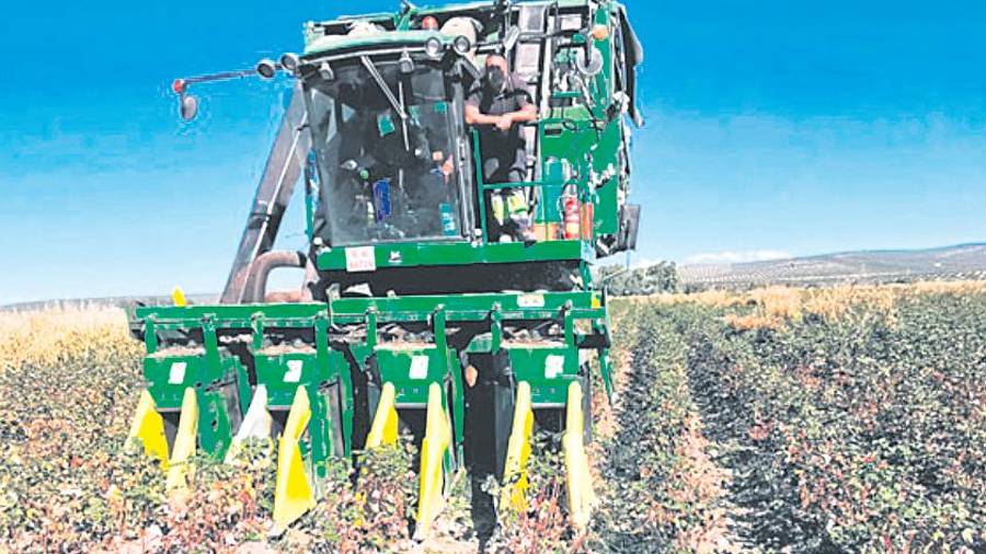 <i>Un agricultor con su cosechadora. / Archivo Diario JAÉN.</i> <i>Un agricultor con su cosechadora. / Archivo Diario JAÉN.</i>