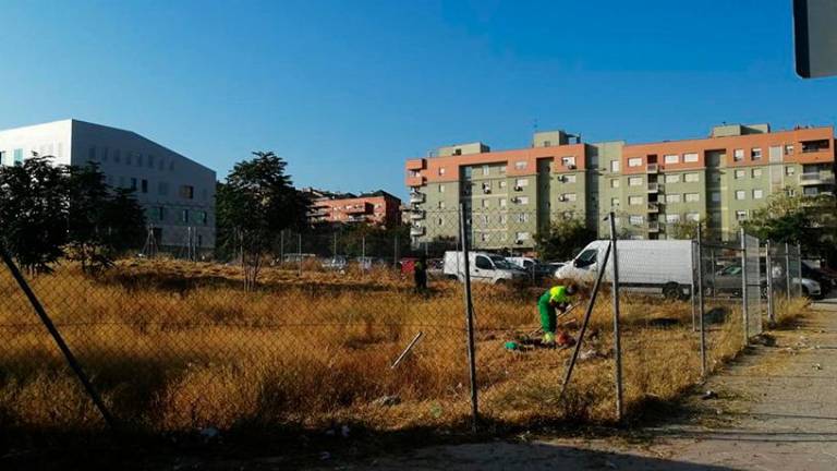 Desbroce en el solar junto al colegio Vera Cruz Desbroce en el solar junto al colegio Vera Cruz