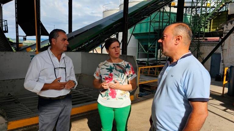 Cerca de 47 millones para modernizar un centenar de almazaras Cerca de 47 millones para modernizar un centenar de almazaras
