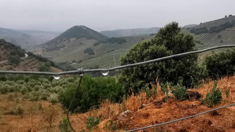 La provincia registra 44,83 litros de media en los últimos siete días de lluvia La provincia registra 44,83 litros de media en los últimos siete días de lluvia