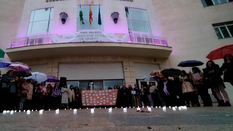 Disminuyen un 15% las denuncias por violencia de género en Jaén Disminuyen un 15% las denuncias por violencia de género en Jaén