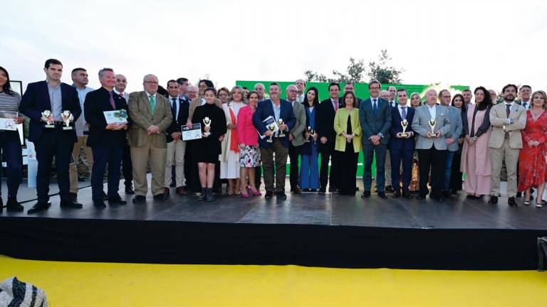Distinciones a la excelencia oleícola en los International Expoliva Awards