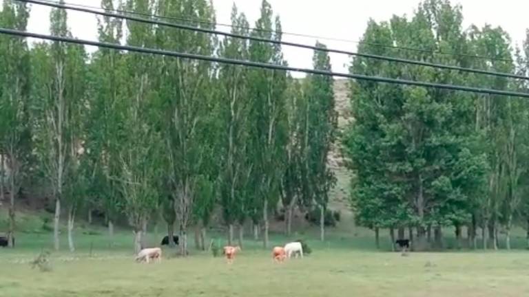 La borrasca Óscar mantendrá las lluvias en Jaén hasta el viernes La borrasca Óscar mantendrá las lluvias en Jaén hasta el viernes
